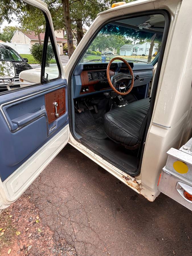 Ford-1981-white-5