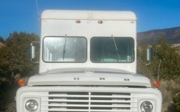 Ford-600-1973-17