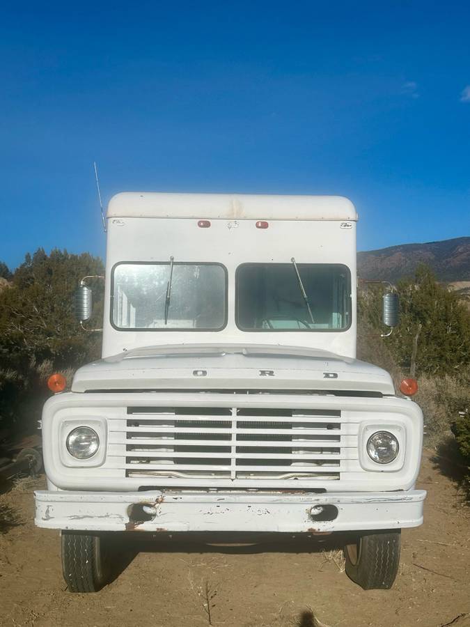 Ford-600-1973-17