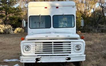 Ford-600-1973-19