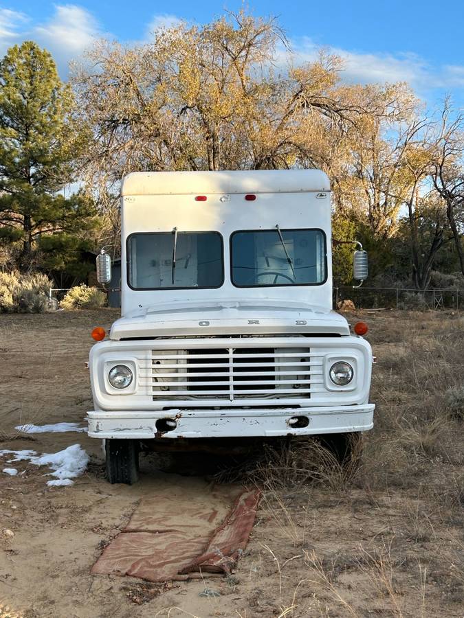 Ford-600-1973-19