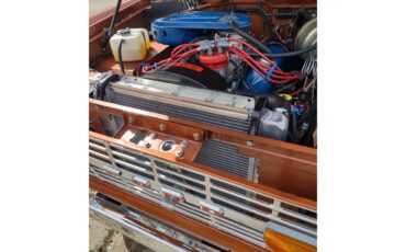 Ford-Bronco-1969-Copper-Black-30