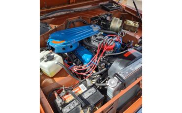Ford-Bronco-1969-Copper-Black-31