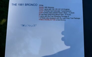 Ford-Bronco-1981-16