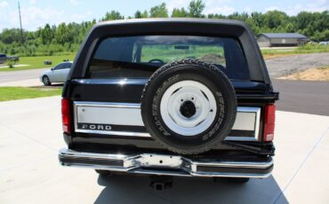 Ford-Bronco-1981-6