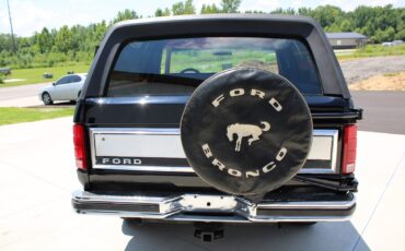 Ford-Bronco-1981-7