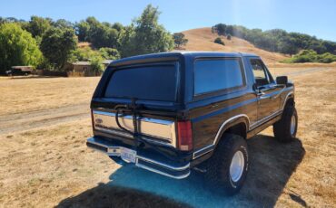 Ford-Bronco-1984-SUV-6