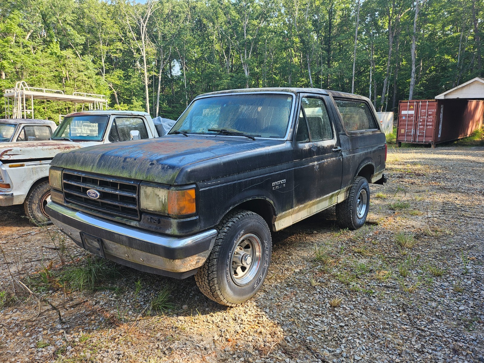 Ford-Bronco-1987-7