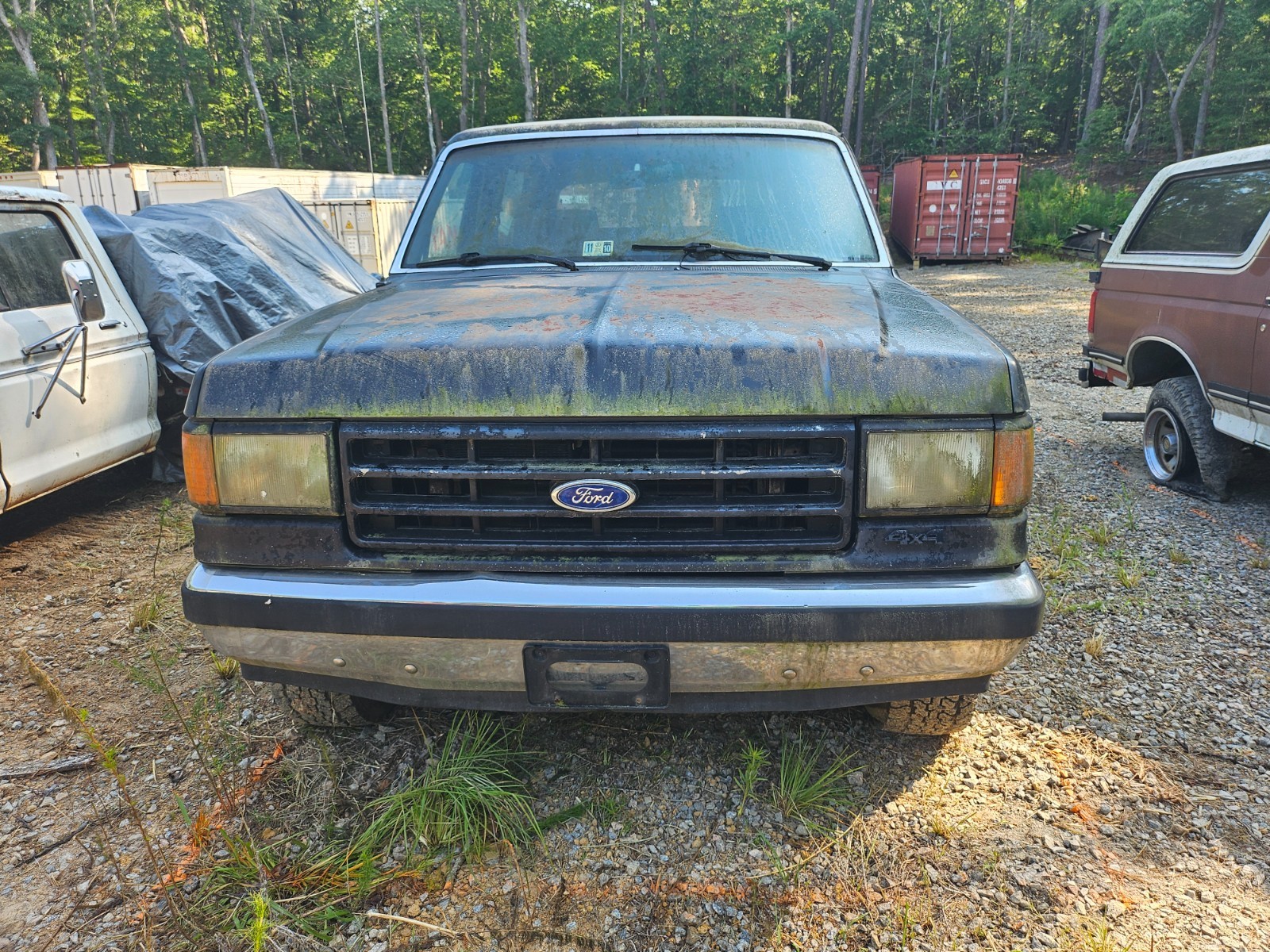 Ford-Bronco-1987-8