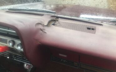 Ford-Country-sedan-1967-11