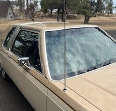Ford-Crown-Victoria-1986-Coupe-5