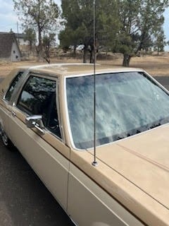 Ford-Crown-Victoria-1986-Coupe-5