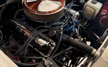 Ford-Custom-300-1959-26