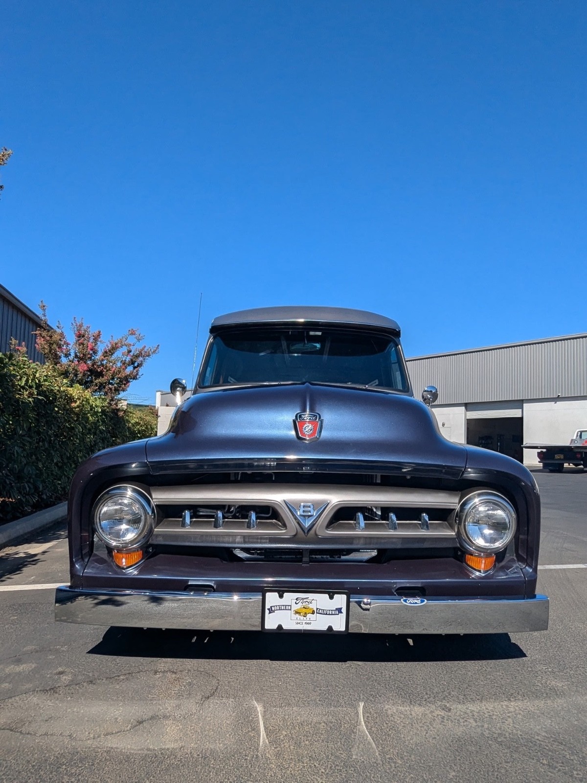 Ford-F-100-1953-Standard-Cab-Pickup-3