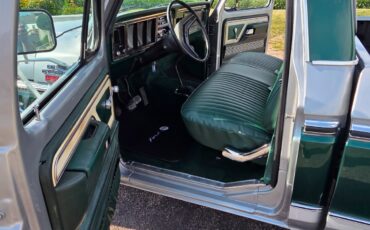 Ford-F-100-1979-10
