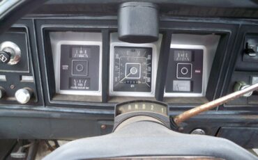 Ford-F-100-1979-Standard-Cab-Pickup-18
