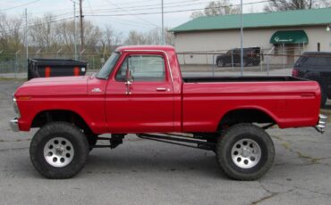 Ford-F-150-1979-Other-12