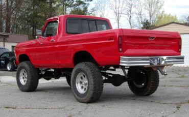 Ford-F-150-1979-Other-13