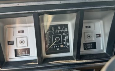 Ford-F-150-1979-Standard-Cab-Pickup-12