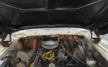 Ford-F-150-1979-Standard-Cab-Pickup-14