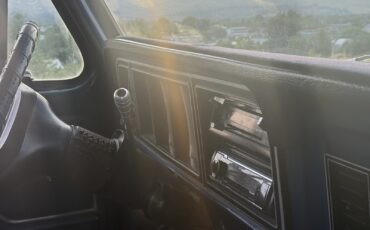 Ford-F-150-1979-Standard-Cab-Pickup-29