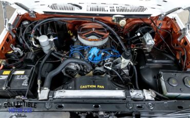 Ford-F-150-1981-Pickup-Truck-5