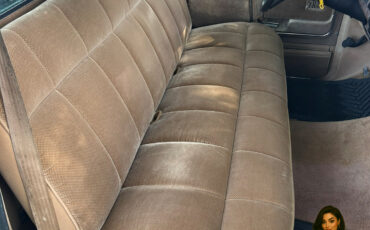 Ford-F-150-1985-Standard-Cab-Pickup-10