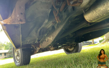 Ford-F-150-1985-Standard-Cab-Pickup-19