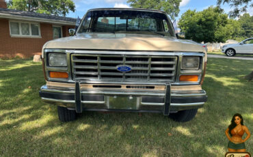 Ford-F-150-1985-Standard-Cab-Pickup-2