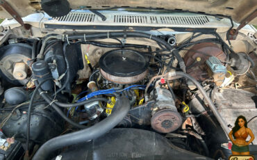 Ford-F-150-1985-Standard-Cab-Pickup-37