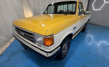 Ford-F-150-1989-Pickup-2