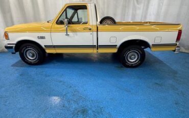 Ford-F-150-1989-Pickup-3