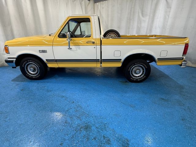 Ford-F-150-1989-Pickup-3