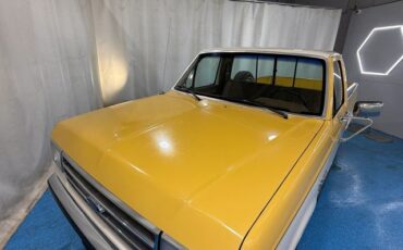 Ford-F-150-1989-Pickup-35