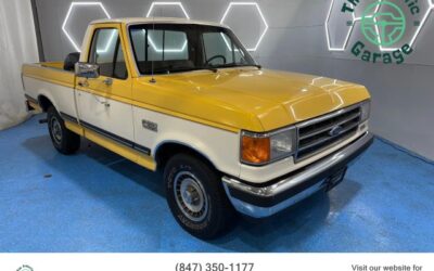 Ford F-150 1989 Pickup