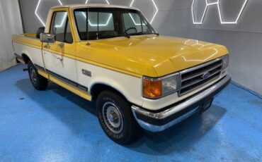 Ford-F-150-1989-Pickup-5