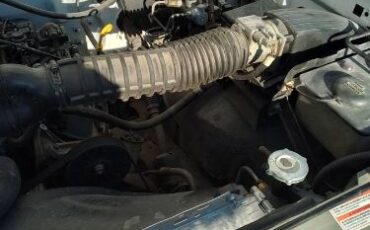 Ford-F-150-1994-White-5