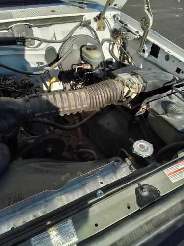 Ford-F-150-1994-White-5