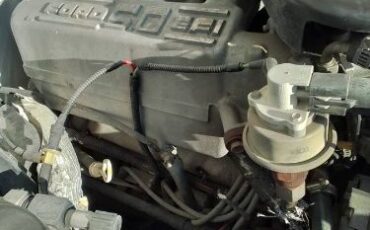 Ford-F-150-1994-White-6