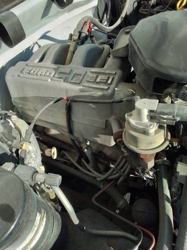 Ford-F-150-1994-White-6