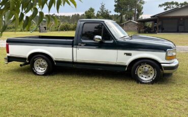 Ford-F-150-1995-Standard-Cab-Pickup-2