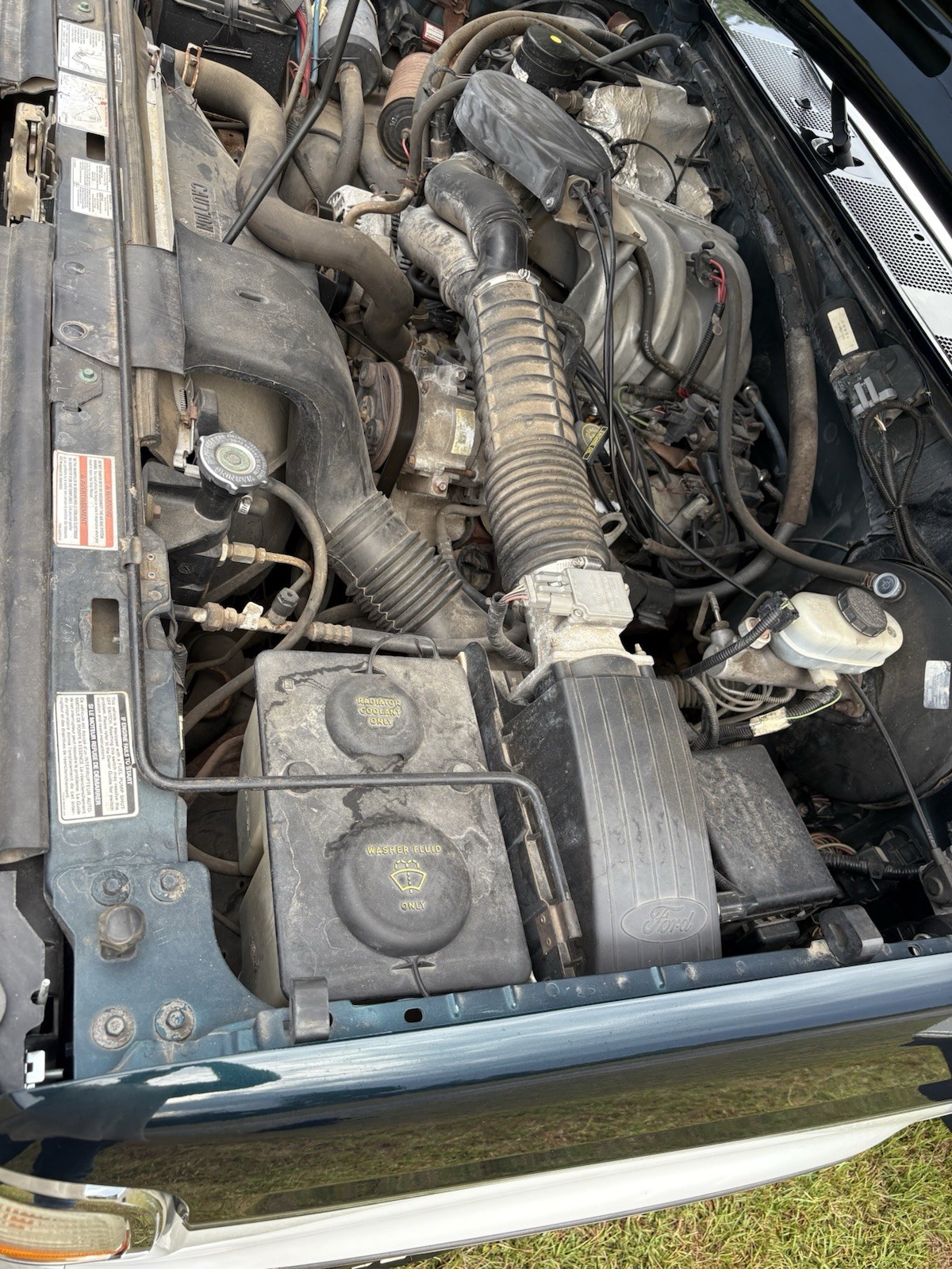 Ford-F-150-1995-Standard-Cab-Pickup-7