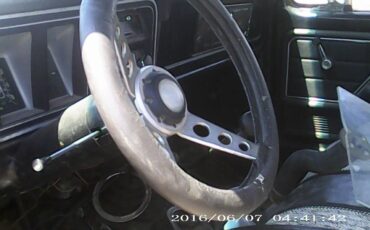 Ford-F-250-1978-Cab-Chassis-6