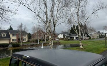 Ford-F-250-1986-GraySilver-1