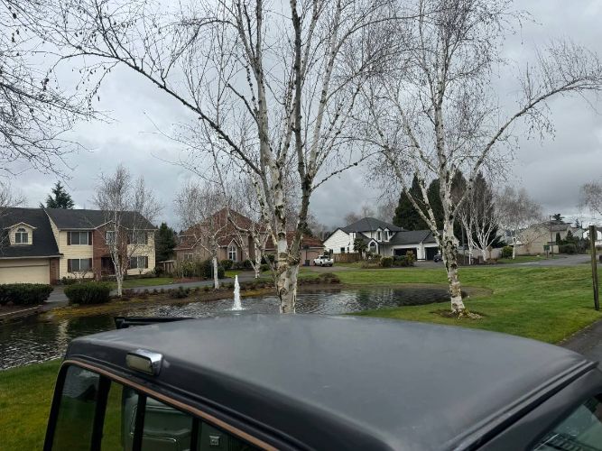 Ford-F-250-1986-GraySilver-1