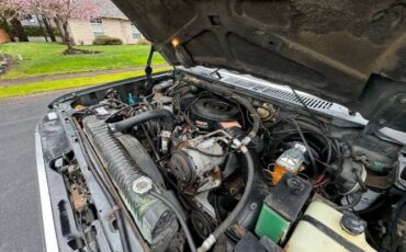 Ford-F-250-1986-GraySilver-13