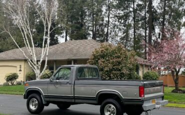 Ford-F-250-1986-GraySilver-16