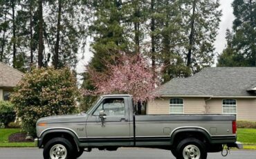 Ford-F-250-1986-GraySilver-18