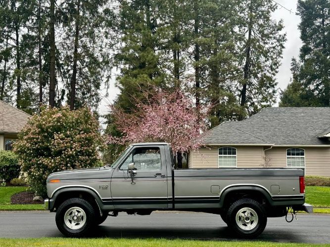 Ford-F-250-1986-GraySilver-18