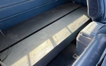 Ford-F-250-1987-Blue-2